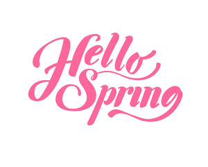 Obraz na płótnie Canvas Hello Spring. Hand drawn calligraphy and brush pen lettering. design for holiday greeting card and invitation of seasonal spring holiday.