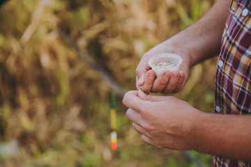 Close up Men's hands hold a small box with maggots and put bait on the hook to fish with a fishing rod on a blurred background shrubs and reeds. Lifestyle, fisherman recreation, leisure concept.