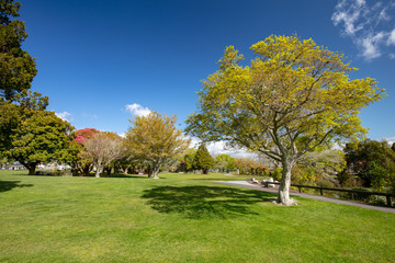 Kuirau Park Rotorua