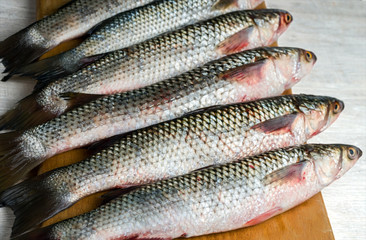 Fresh mullet on a cutting board. Mullet fish. Selective focus.