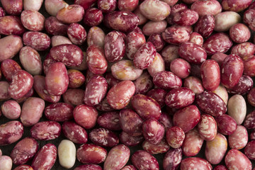 raw and fresh beans - Phaseolus vulgaris
