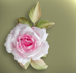 Realistic Fabric Silk flower in pink and white colors rose hand made on green olive background.