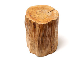 log isolated on a white background
