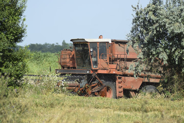 Fototapeta premium Combine harvesters. Agricultural machinery.