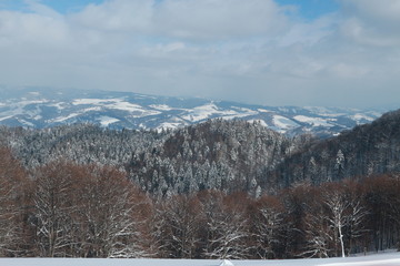 winter landscape in the snow-capped forest mountains