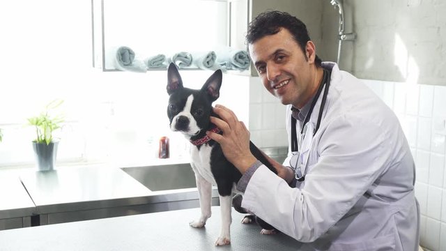 Attractive mature male professional vet petting adorable dog at his clinic smiling to the camera copyspace medicine profession occupation job doctor worker appointment domestic pets care canine.