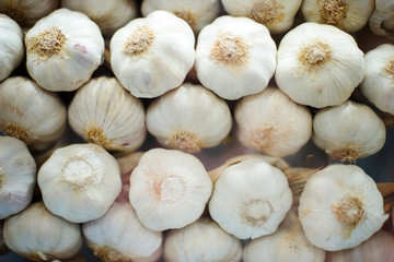 Heap of white garlic - healthy food