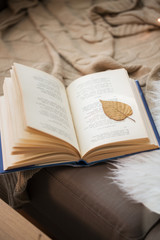 Fototapeta na wymiar book with autumn leaf on page on sofa at home