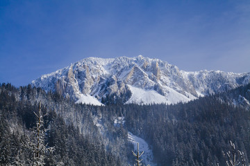 winter scene in Hasmas mountains, Romania