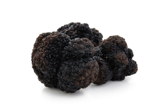 Black truffles on white.