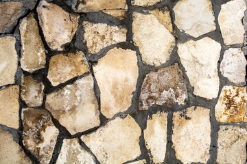 Obraz premium texture for background