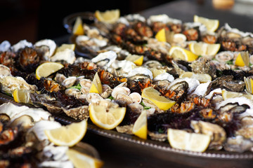 Oysters, clams, sea urchins seafood with lemon