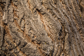 texture for background