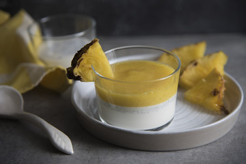 milk dessert with pineapple