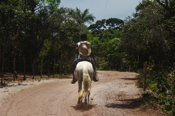 Homem no cavalo entre as árvores