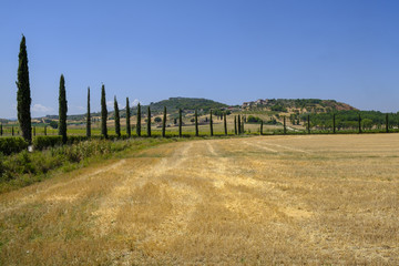Obraz premium Summer landscape near Perugia