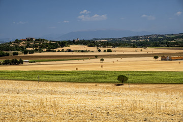 Fototapeta premium Summer landscape near Perugia