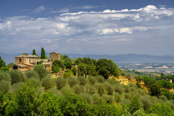 Fototapeta na wymiar Summer landscape near Montepulciano