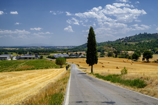 Summer landscape near Perugia