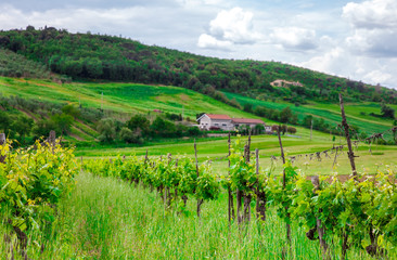 Fototapeta na wymiar rural house on the hill among vineyards, Tuscany, Italy