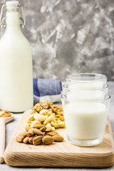 Nut mix, almond, cashew, walnuts and nut milk in glasses on wooden board on concrete background. Selective focus, copy space. 