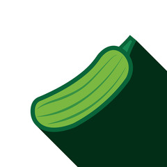 cucumber with long shadow