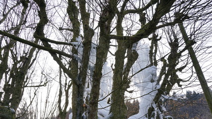 Eisskulptur von einem Wasserbrunen und an einem Baum