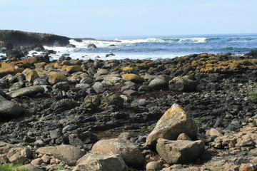 Northern Ireland coast