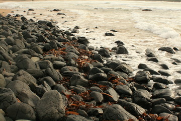 Northern Ireland coast