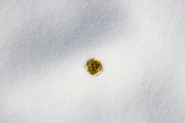 Crypto currency golden bitcoin on glittering snow