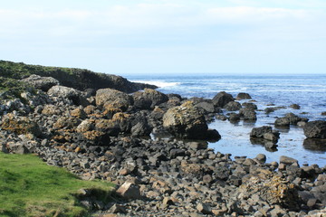 Giant's Causeway, Northern Ireland