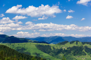Naklejka na ściany i meble landscape of a Carpathians mountains with fir-trees, grassy valley and sky