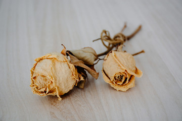 Dead Yellow Flowers with Wooden Furniture