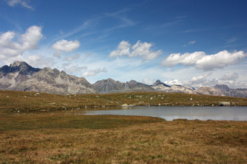 Meadow with lake at Swiss Alps Peaks