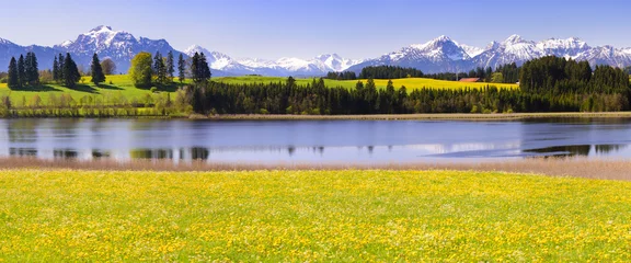 Kissenbezug panoramic scene with lake Forggensee and alps mountains in region Allgäu, Bavaria, at spring © Wolfilser