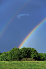 Intense vivid rainbow in a stormy dark sky after a spring thunderstorm. End of a thunderstorm showing a bright full spectrum rainbow touching the tops of trees against deep blue/grey cloudy sky.