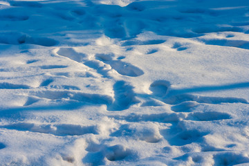 traces of white-blue snow