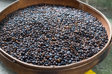 Roasted Kopi Luwak coffee beans on display with natural sun light.