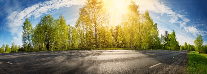 asphalt road panorama in countryside on sunny spring day. Panoramic view to the forest