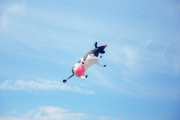 black white cow in the sky