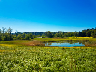 Fototapeta premium Pond in Switzerland