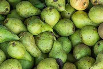 Heap of Ripe Organic Green Pears in Wooden Box at Farmers Market. Bright Vibrant Colors. Vitamins Superfoods Healthy Diet Harvest Concept. Sunlight Summer Mood. Close up