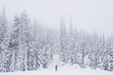 Backcountry skier in snowy landscape