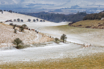 Snowy Landscape © lemanieh