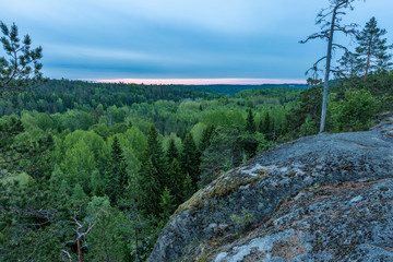 Morning over the spring forest, View from a high rock