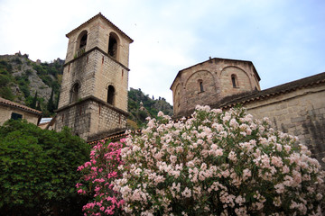 Fototapeta na wymiar old stone Church with pink flower bushes