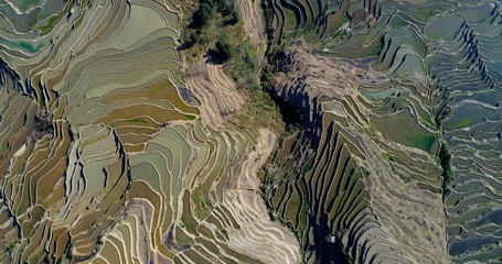 Rice paddies filled with water, creating breathtaking patterns. Aerial view on world's largest and most beautiful Rice Terraces, the Yuanyang Hani Rice Terraces in southeastern Yunnan province, China.
