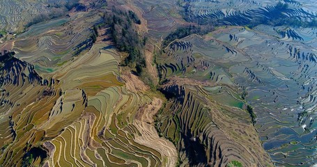 Rice paddies filled with water, creating breathtaking patterns. Aerial view on world's largest and most beautiful Rice Terraces, the Yuanyang Hani Rice Terraces in southeastern Yunnan province, China.