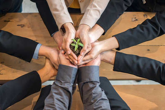 A group of people holding to support the little tree by hands. The conceptual of egology and save the world. A comparative approach to business progress.