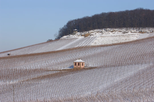 Weinberge am Gaffenberg in Heilbronn mit Schnee